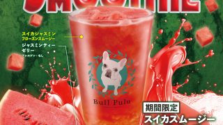 期間限定！スイカスムージー】 | Bull Pulu